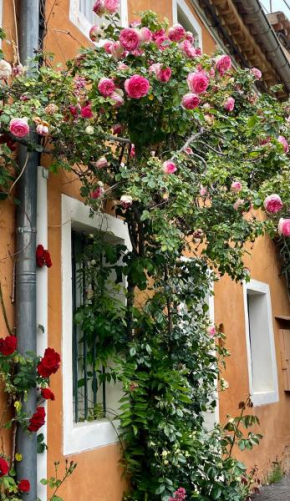 Chez Fanny Bédoin